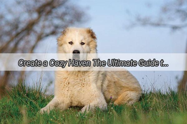 Create a Cozy Haven The Ultimate Guide to Making a DogFriendly Nest